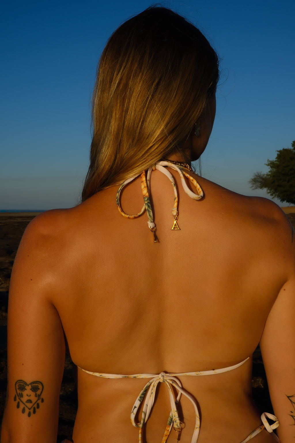 Pineapple Triangle Top